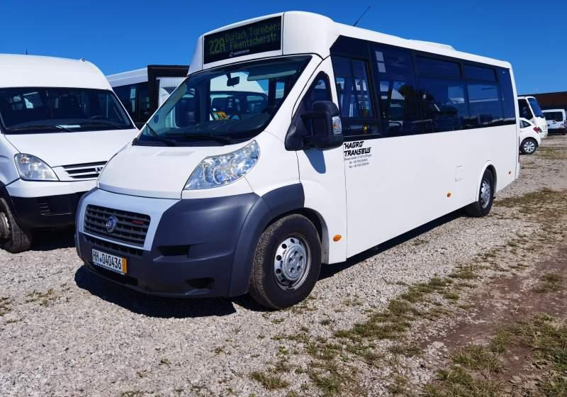 Fiat Ducato miejski, przewóz osób niepełnosprawnych - Городской автобус: фото 1 Fiat Ducato miejski, przewóz osób niepełnosprawnych - Городской автобус: фото 1