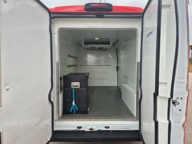 Фургон-рефрижератор Fiat Ducato Refrigerated Van: фото 13