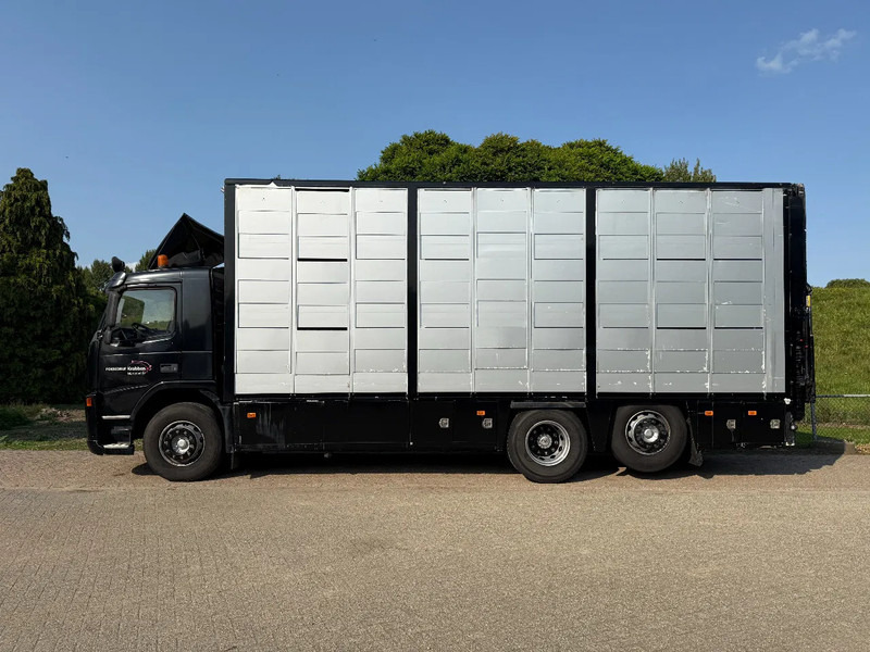 Volvo FM 300 Livestock Cuppers 3 laags 6x2 - Грузовик для перевозки животных: фото 4 Volvo FM 300 Livestock Cuppers 3 laags 6x2 - Грузовик для перевозки животных: фото 4