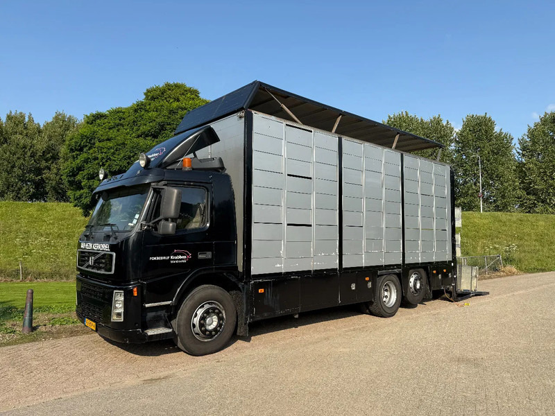 Volvo FM 300 Livestock Cuppers 3 laags 6x2 - Грузовик для перевозки животных: фото 1 Volvo FM 300 Livestock Cuppers 3 laags 6x2 - Грузовик для перевозки животных: фото 1