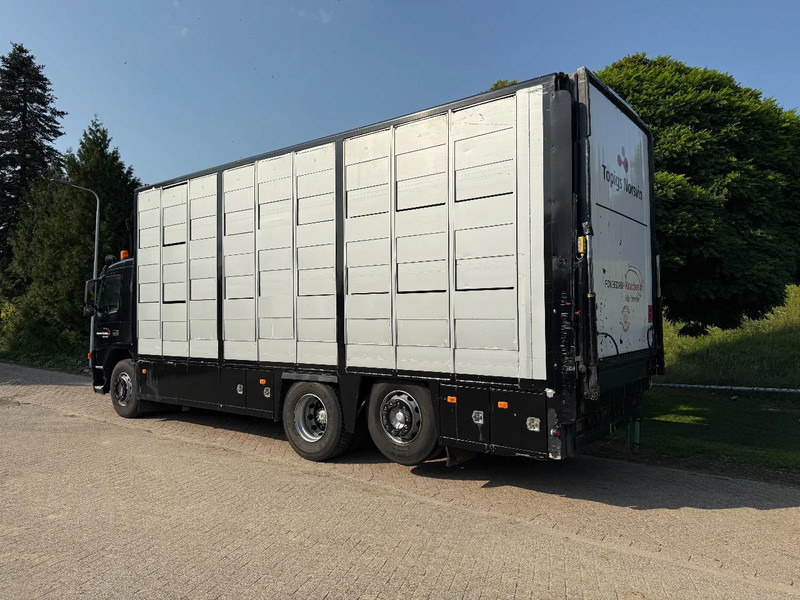 Volvo FM 300 Livestock Cuppers 3 laags 6x2 - Грузовик для перевозки животных: фото 5 Volvo FM 300 Livestock Cuppers 3 laags 6x2 - Грузовик для перевозки животных: фото 5