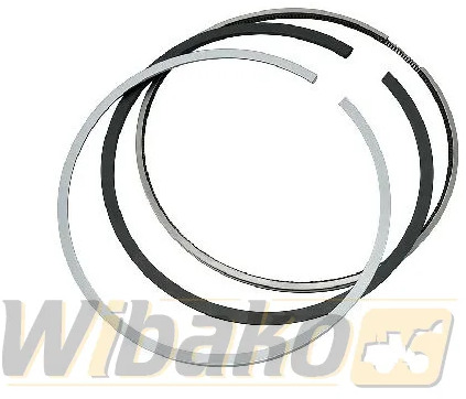 Wbk 7380739/4980483/7380741 - Поршень/ Кольцо/ Втулка для Строительной техники: фото 1 Wbk 7380739/4980483/7380741 - Поршень/ Кольцо/ Втулка для Строительной техники: фото 1