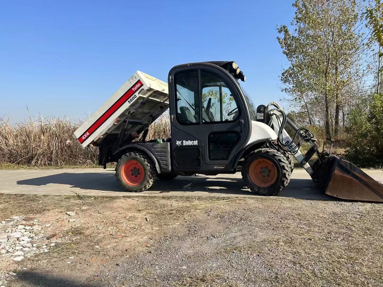 BOBCAT Bobcat 5600 - Мини-погрузчик с бортовым поворотом: фото 1 BOBCAT Bobcat 5600 - Мини-погрузчик с бортовым поворотом: фото 1