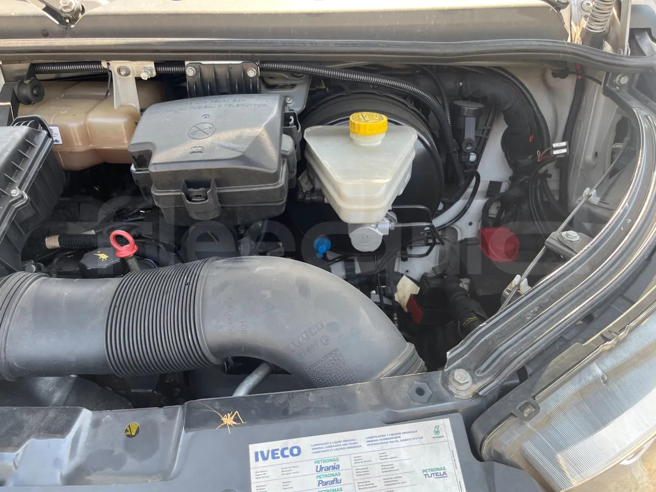 Микроавтобус, Пассажирский фургон Iveco Daily: фото 15 Микроавтобус, Пассажирский фургон Iveco Daily: фото 15