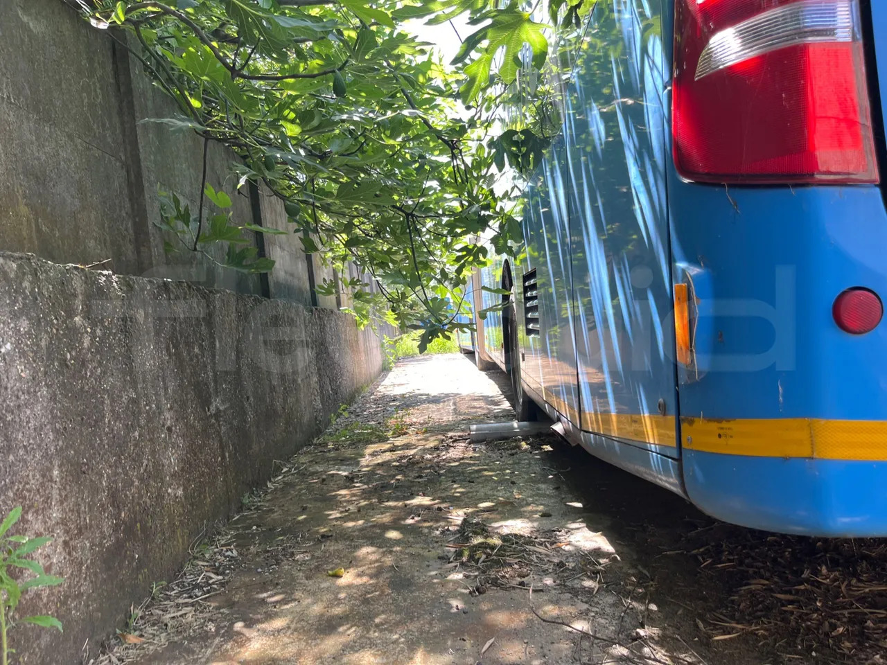 Mercedes-Benz Citaro G - Городской автобус: фото 4 Mercedes-Benz Citaro G - Городской автобус: фото 4