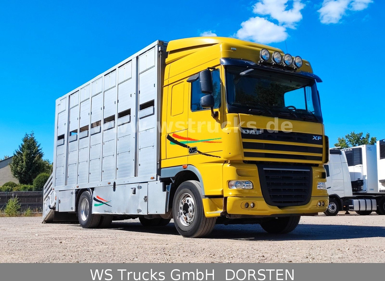 DAF XF 410 SC Menke Doppelstock - Коневоз: фото 3 DAF XF 410 SC Menke Doppelstock - Коневоз: фото 3