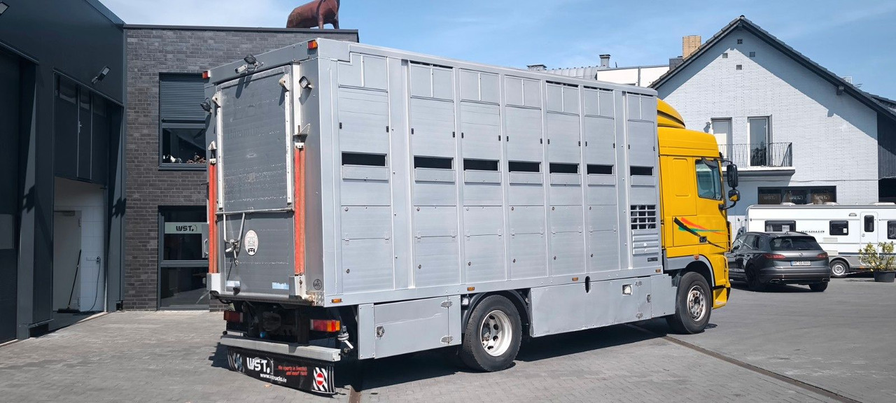 DAF XF 410 SC Menke Doppelstock - Коневоз: фото 3 DAF XF 410 SC Menke Doppelstock - Коневоз: фото 3