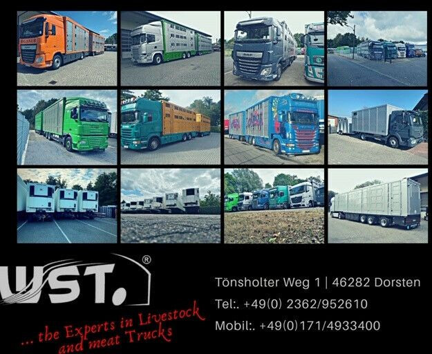 Тентованный полуприцеп Krone 3 x SDP27 Profiliner Edscha  XL Code: фото 27