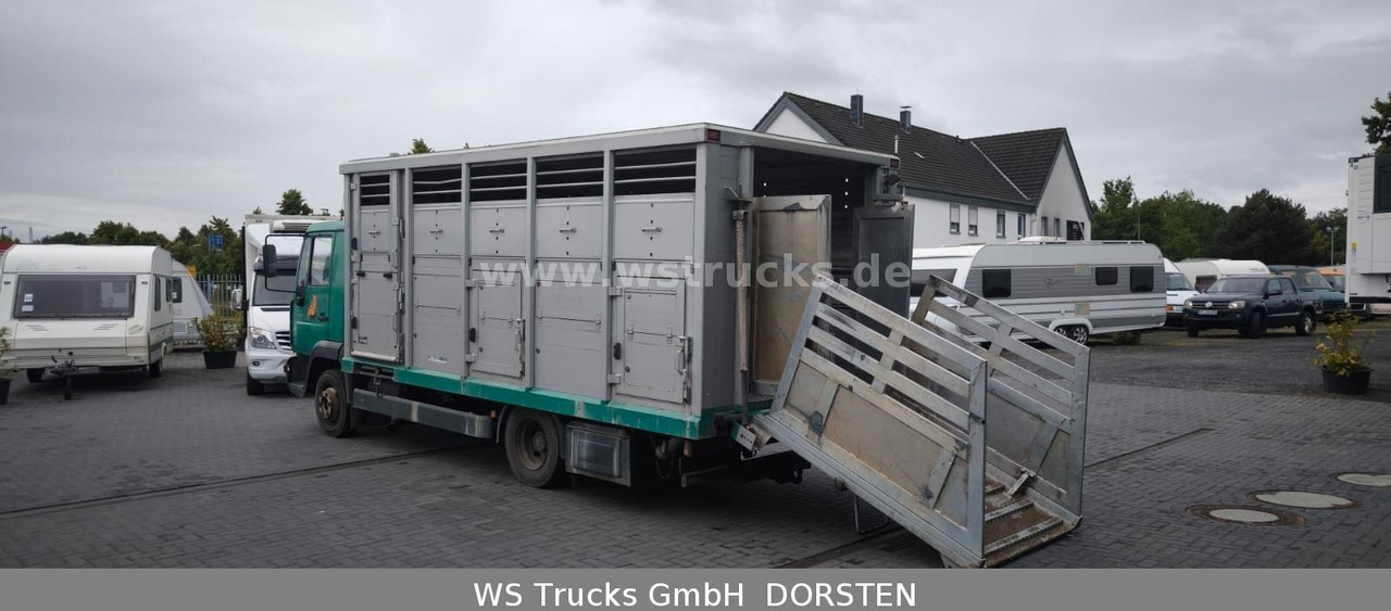 MAN LE 8.220 Menke Einstock Großvieh - Грузовик для перевозки животных: фото 3 MAN LE 8.220 Menke Einstock Großvieh - Грузовик для перевозки животных: фото 3