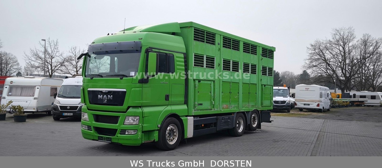 MAN TGX 26.480 XL KABA 3 Stock Vollalu - Коневоз: фото 2 MAN TGX 26.480 XL KABA 3 Stock Vollalu - Коневоз: фото 2