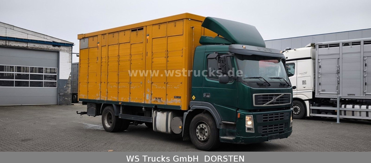 Volvo FM 260 mit KABA 2 Stock Vollalu - Коневоз: фото 3 Volvo FM 260 mit KABA 2 Stock Vollalu - Коневоз: фото 3