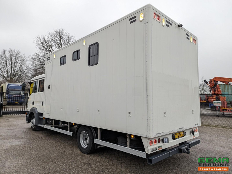 MAN TGL 12.180 4x2 DoKa 7 pers. Euro5 EEV - Paardenwagen 2-Paards - 147.000km! - MARGE - Коневоз: фото 4 MAN TGL 12.180 4x2 DoKa 7 pers. Euro5 EEV - Paardenwagen 2-Paards - 147.000km! - MARGE - Коневоз: фото 4