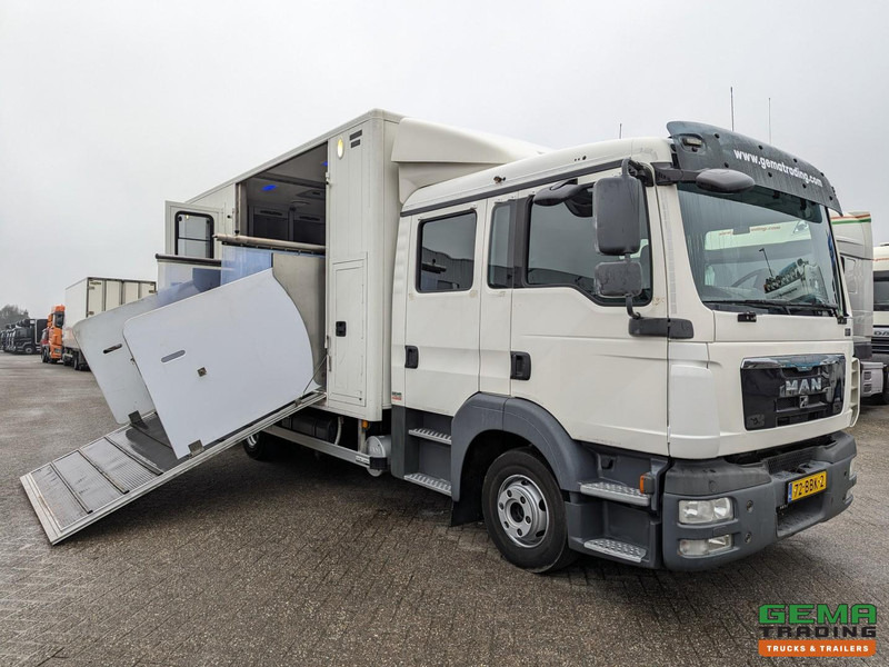 MAN TGL 12.180 4x2 DoKa 7 pers. Euro5 EEV - Paardenwagen 2-Paards - 147.000km! - MARGE - Коневоз: фото 1 MAN TGL 12.180 4x2 DoKa 7 pers. Euro5 EEV - Paardenwagen 2-Paards - 147.000km! - MARGE - Коневоз: фото 1