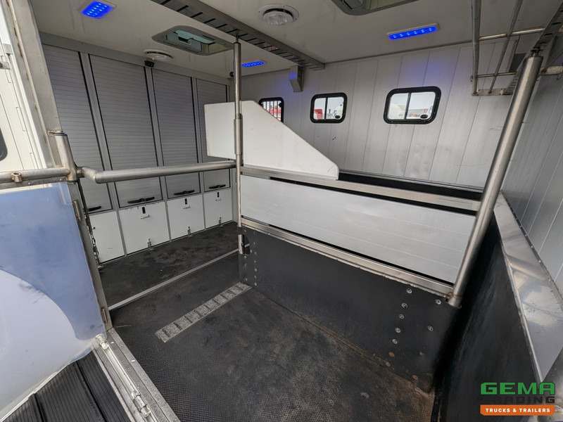 MAN TGL 12.180 4x2 DoKa 7 pers. Euro5 EEV - Paardenwagen 2-Paards - 147.000km! - MARGE в лизинг MAN TGL 12.180 4x2 DoKa 7 pers. Euro5 EEV - Paardenwagen 2-Paards - 147.000km! - MARGE: фото 6