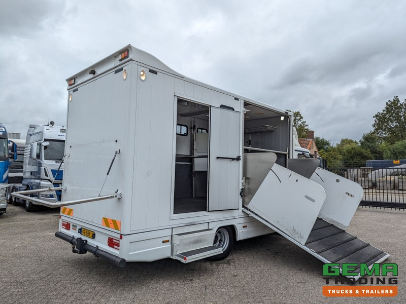 MAN TGL 12.250 4x2 Euro5 EEV RC HorseTruck - 2a3 Paards - 135.000km - MARGE (V821) - Коневоз: фото 1 MAN TGL 12.250 4x2 Euro5 EEV RC HorseTruck - 2a3 Paards - 135.000km - MARGE (V821) - Коневоз: фото 1