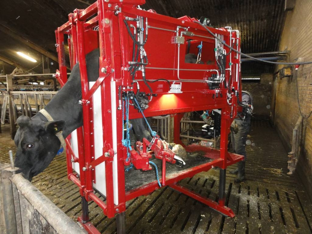 Pomi Klovbeskæringsboks / hoof trimming box - Инвентарь для животноводства: фото 1 Pomi Klovbeskæringsboks / hoof trimming box - Инвентарь для животноводства: фото 1