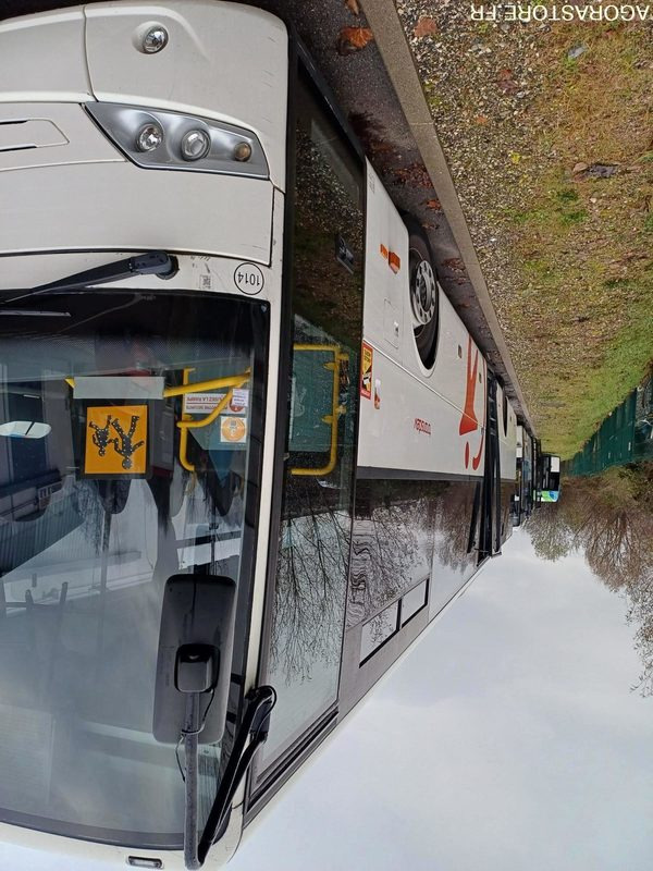 CAR MERCEDES INTOURO N° 11997 MEC 2010- 401225km AX-156-EF - Автобус: фото 4 CAR MERCEDES INTOURO N° 11997 MEC 2010- 401225km AX-156-EF - Автобус: фото 4