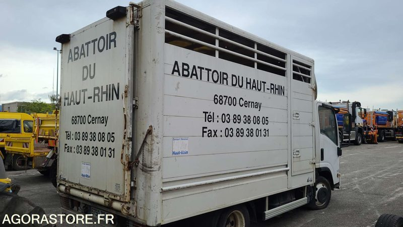 Bétaillère abattoir ISUZU - 2008 - Грузовик для перевозки животных: фото 3 Bétaillère abattoir ISUZU - 2008 - Грузовик для перевозки животных: фото 3