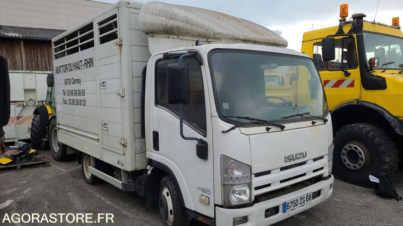 Bétaillère abattoir ISUZU - 2008 - Грузовик для перевозки животных: фото 2 Bétaillère abattoir ISUZU - 2008 - Грузовик для перевозки животных: фото 2