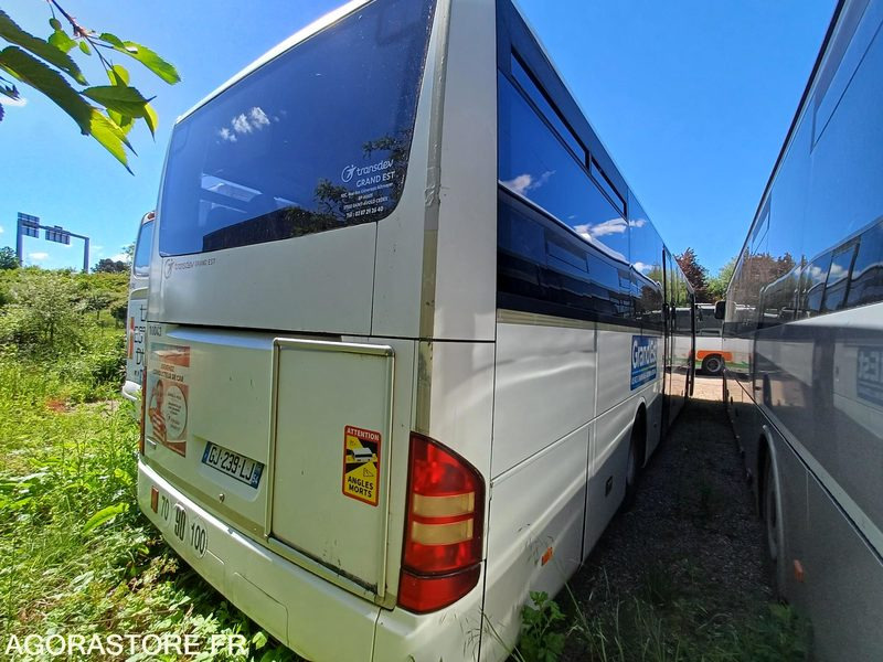 MERCEDES - INTOURO - 2007 / 531917KM - GJ239LJ (10043) - Школьный автобус: фото 4 MERCEDES - INTOURO - 2007 / 531917KM - GJ239LJ (10043) - Школьный автобус: фото 4