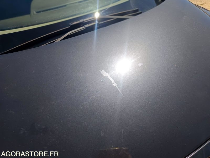Легковой автомобиль RENAULT SCENIC III 1.5 DCI 110CV - 2009 - 155000KMS: фото 17