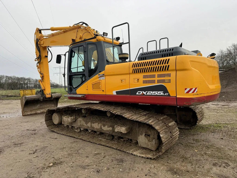 Doosan DX255LC-5 2015 10800 hr STRAIGHT FROM WORK ! DUTCH MACHINE ! - Гусеничный экскаватор: фото 2 Doosan DX255LC-5 2015 10800 hr STRAIGHT FROM WORK ! DUTCH MACHINE ! - Гусеничный экскаватор: фото 2