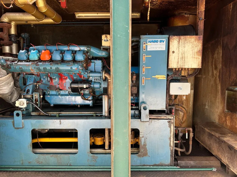 MAN Stamford 275 kVA Silent Gas generatorset in container - Электрогенератор: фото 2 MAN Stamford 275 kVA Silent Gas generatorset in container - Электрогенератор: фото 2