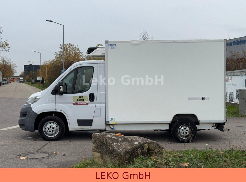 Fiat Ducato 2.3 - Фургон-рефрижератор: фото 4 Fiat Ducato 2.3 - Фургон-рефрижератор: фото 4