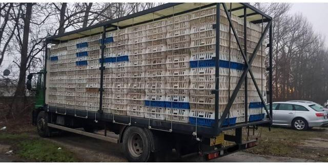 Iveco Eurocargo 180E28 - Грузовик для перевозки животных: фото 3 Iveco Eurocargo 180E28 - Грузовик для перевозки животных: фото 3