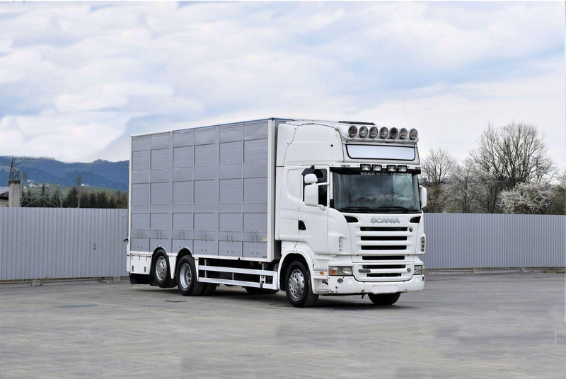 Scania R 500 - Грузовик для перевозки животных: фото 2 Scania R 500 - Грузовик для перевозки животных: фото 2