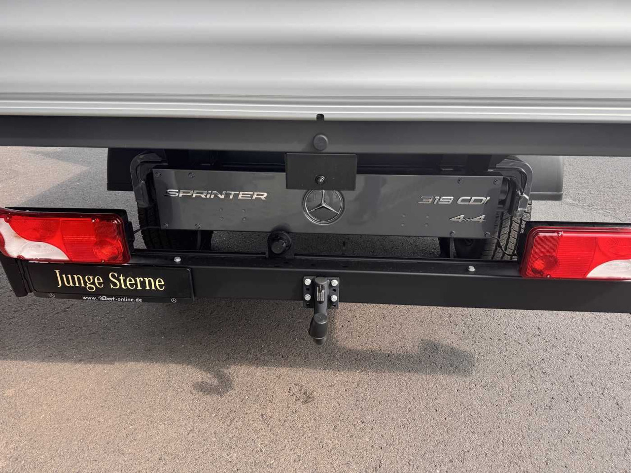 Тентованный фургон, Грузопассажирский фургон Mercedes-Benz Sprinter 319 CDI 4x4 DoKa AHK3,5 Klima Kamera: фото 6