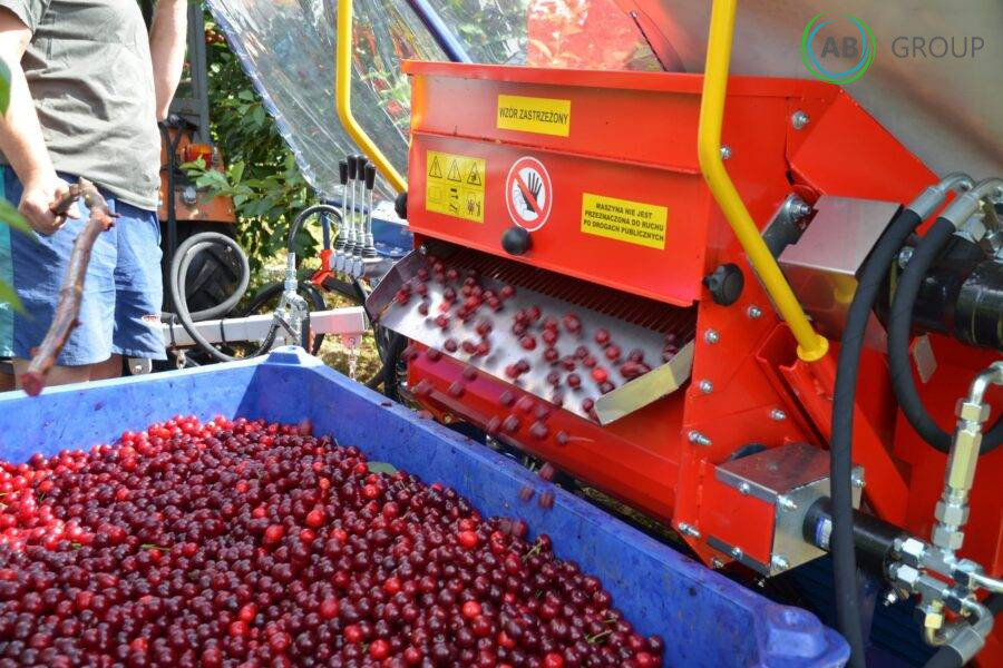 Jagoda machine for harvesting cherries, plums Gacek - Садовое оборудование: фото 4 Jagoda machine for harvesting cherries, plums Gacek - Садовое оборудование: фото 4