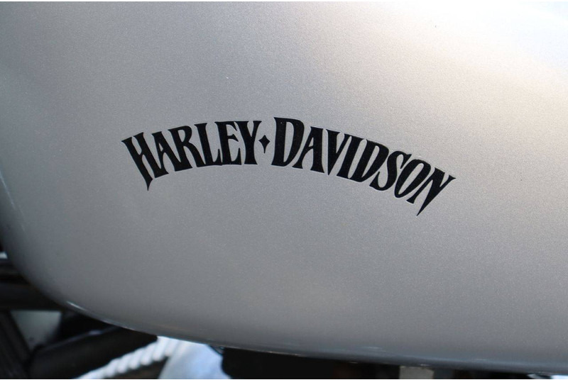 Мотоцикл Harley-Davidson Sportster XL 883 Roadster: фото 19 Мотоцикл Harley-Davidson Sportster XL 883 Roadster: фото 19