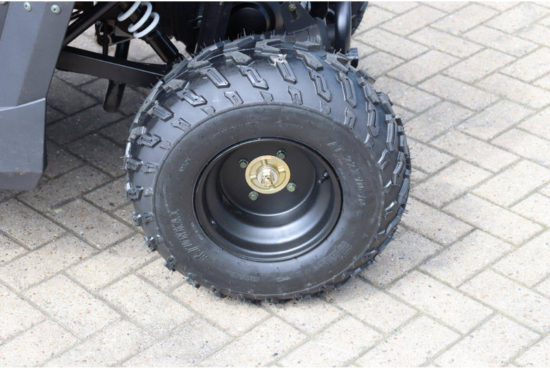 Новый Гольф-кар Wextrem UTV-ATV 200Pro: фото 14