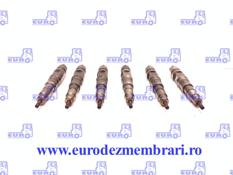 SET INJECTOARE MAN D20 51.10100.6064, 51.10100.6126 - Распределитель впрыска для Грузовиков: фото 1 SET INJECTOARE MAN D20 51.10100.6064, 51.10100.6126 - Распределитель впрыска для Грузовиков: фото 1